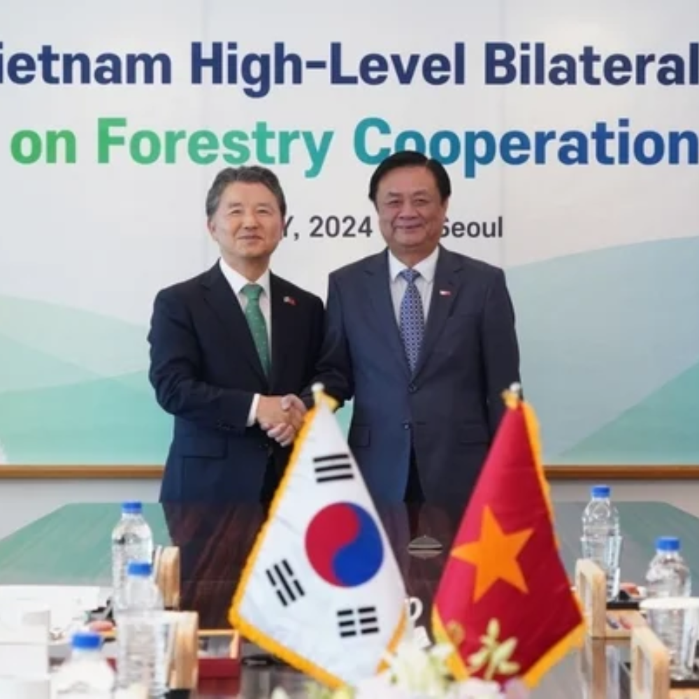 Việt Nam Và Hàn Quốc Tăng Cường Hợp Tác Phát Triển Ngành Lâm Nghiệp Đa Dụng